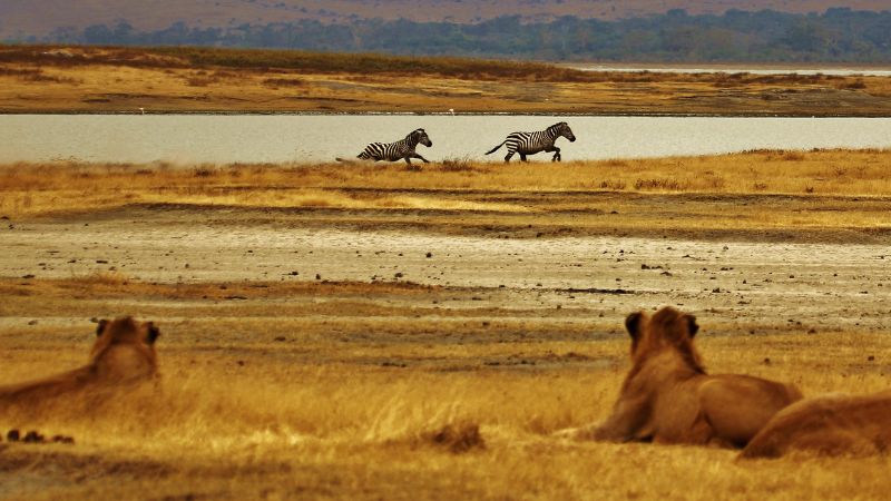 7 Stunning Locations for Wildlife Watching