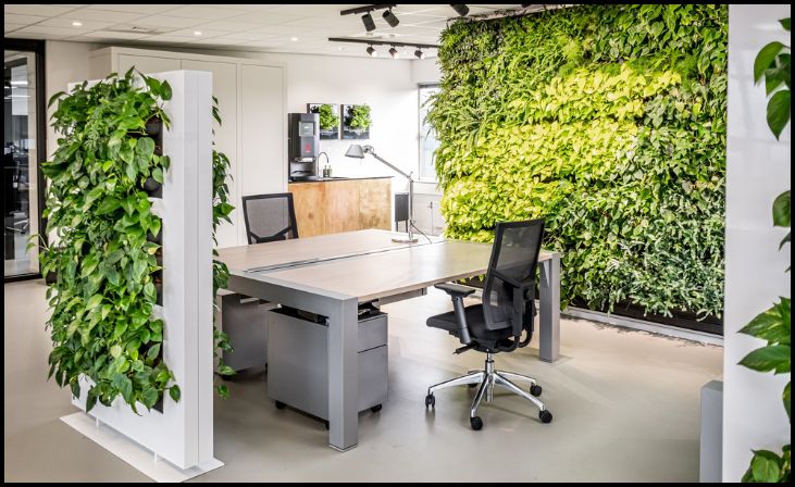 Best Places to Position Office Plants