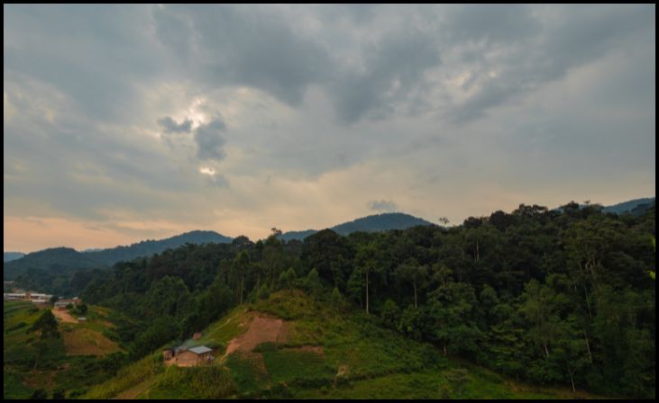 Bwindi Impenetrable Forest, Uganda