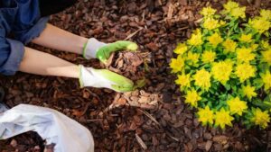 How Can You Create Your Own Mulch?