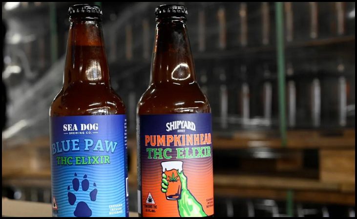 Shipyard's Pumpkinhead Ale