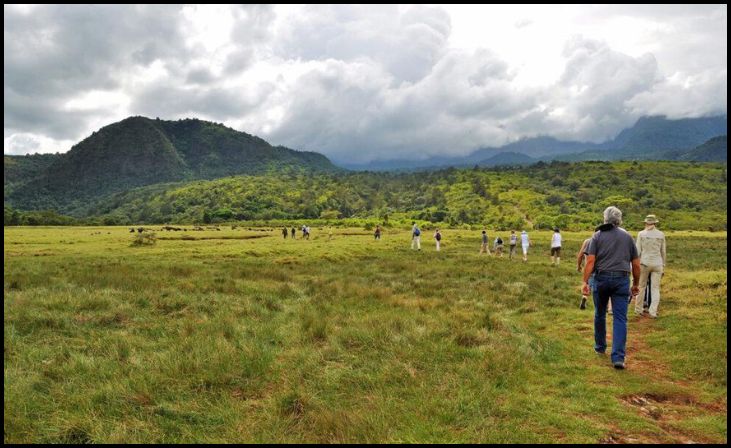 Turn Your Walk into a Photo Safari